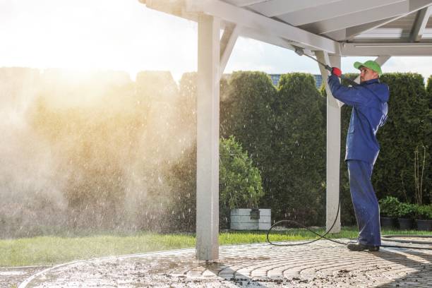 Best Oil Spill Cleanup  in Douglas, AL